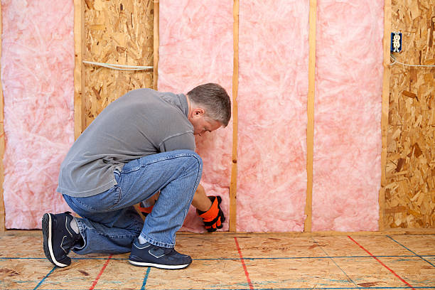Best Geographic-Specific Insulation Services in West Salem, WI